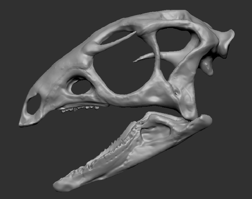 STL file Dryosaurus Altus - Dinosaur Skull 🦖 ・Model to download and 3D ...